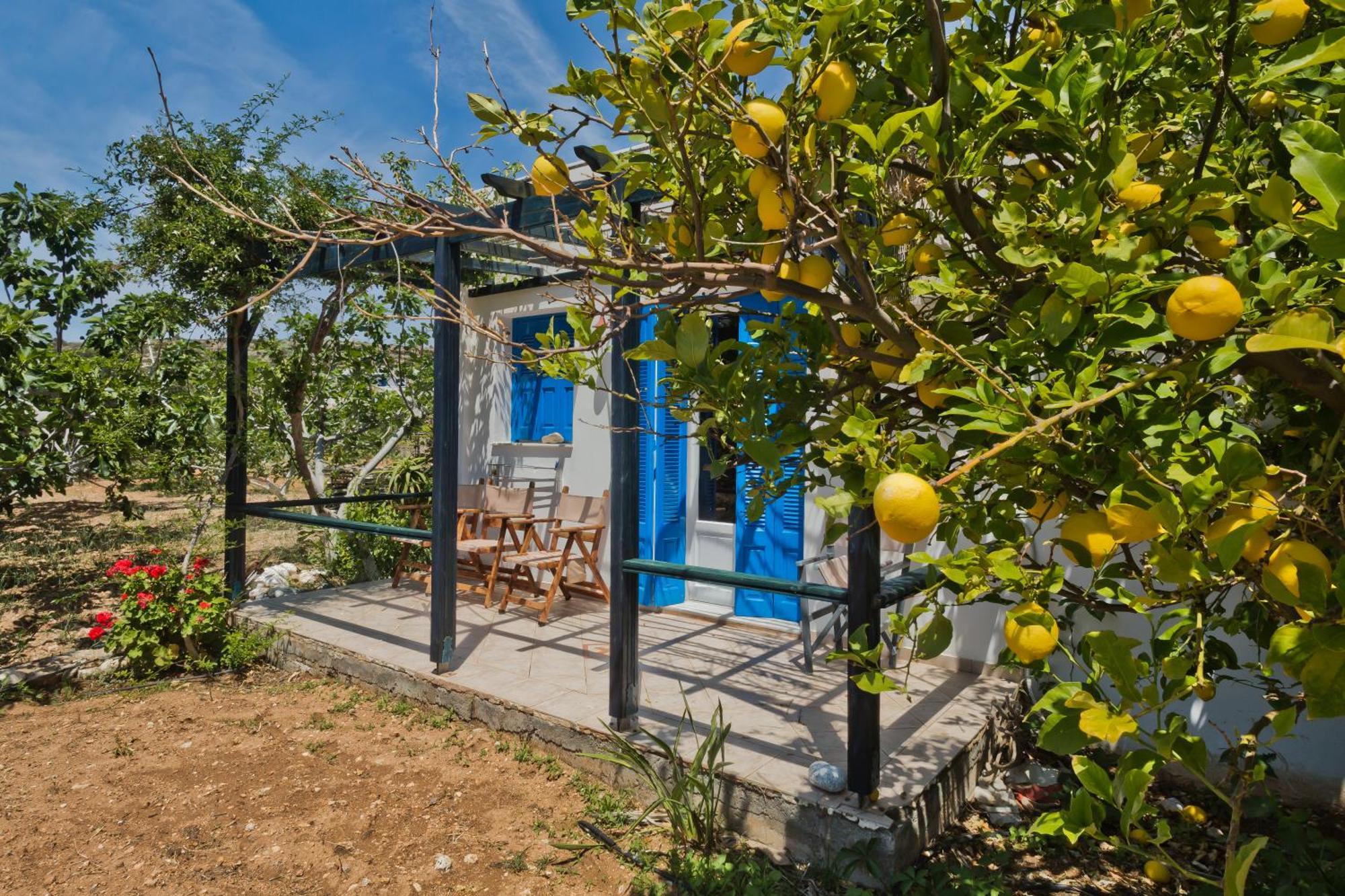 Pleiades Apartments Lefkos (Karpathos) Exterior foto